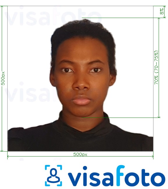 Exemplu de fotografie pentru Kenya e-visa on-line 500x500 pixeli cu aceeași dimensiune indicată